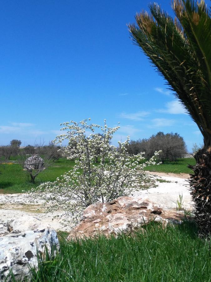 Trulli Pietra Preziosa Martina Franca Bagian luar foto