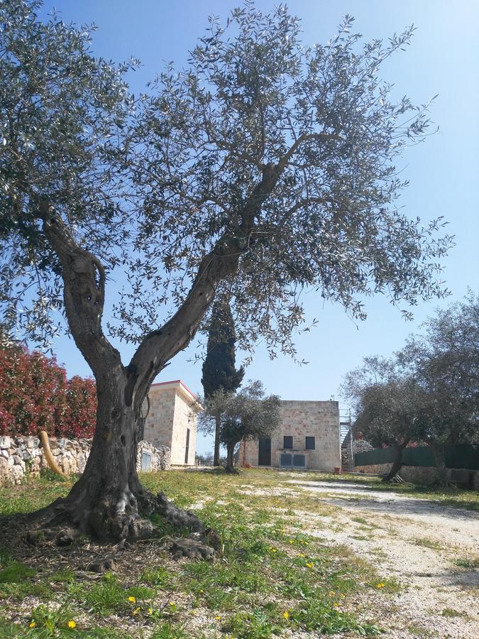 Trulli Pietra Preziosa Martina Franca Bagian luar foto